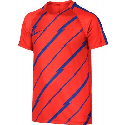 Nike Dry Squad Junior 833008-852 football jersey