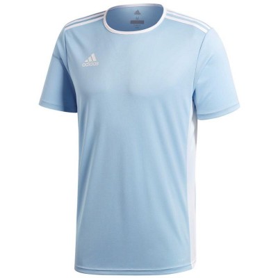 Adidas Entrada 18 Jr CD8414 football shirt