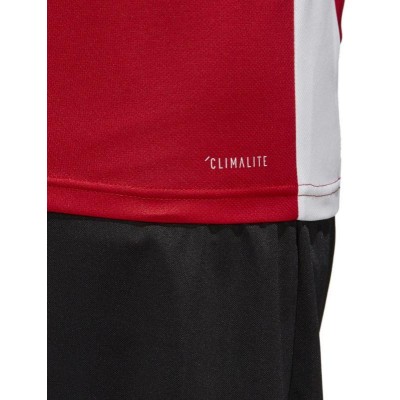 Adidas Entrada 18 CF1038 football jersey