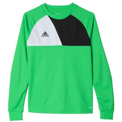 Adidas Assita 17 Jr AZ5406 sweatshirt
