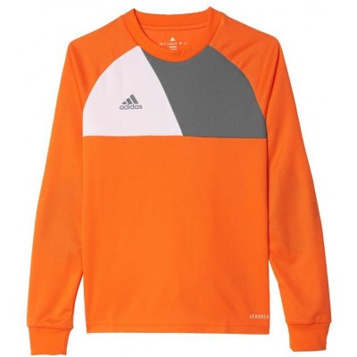 Adidas Assita 17 Jr AZ5402 sweatshirt