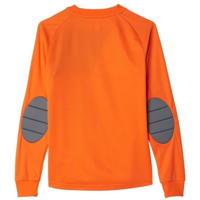Adidas Assita 17 Jr AZ5402 sweatshirt