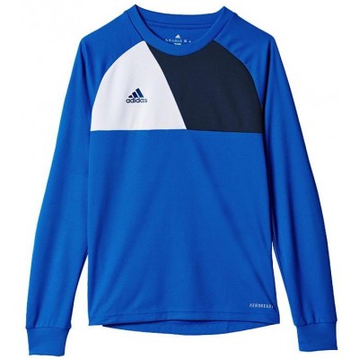 Adidas Assita 17 Jr AZ5404 sweatshirt