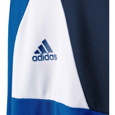 Adidas Assita 17 Jr AZ5404 sweatshirt