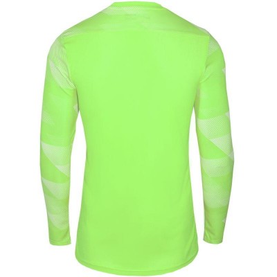 T-shirt Nike Dry Park IV M CJ6066-702