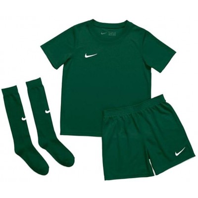 Nike Dry Park 20 Jr CD2244-302 football kit