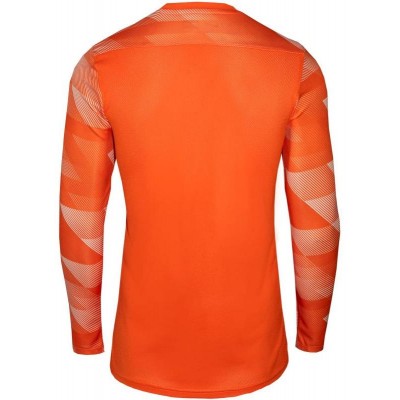 T-shirt Nike Dry Park IV JSY LS GK Jr CJ6072-819
