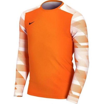 T-shirt Nike Dry Park IV JSY LS GK Jr CJ6072-819