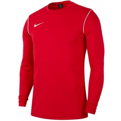 Nike Park 20 Crew Jr BV6901-657 sweatshirt