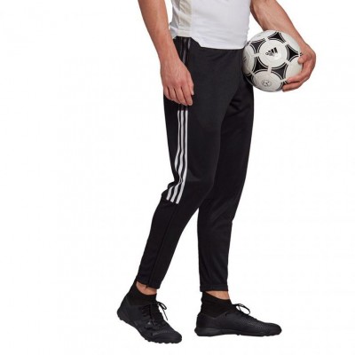 Adidas Tiro 21 Training M GH7306 pants