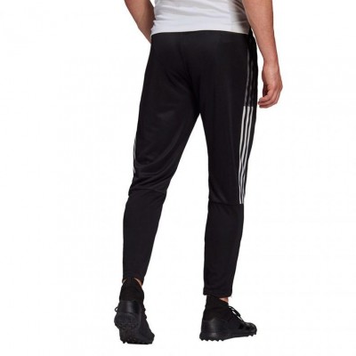 Adidas Tiro 21 Training M GH7306 pants