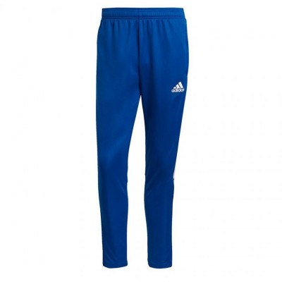 Adidas Tiro 21 Training M GJ9870 pants