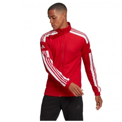 Adidas Squadra 21 Training M GP6464 sweatshirt