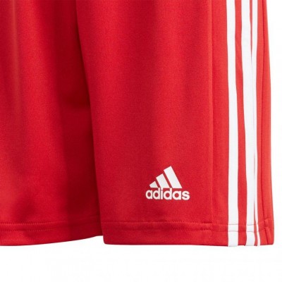 Adidas Squadra 21 Short Youth Jr GN5761