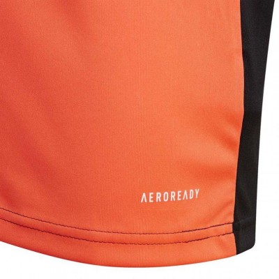 Goalkeeper jersey adidas Squadra 21 GoalKeeper Jersey Youth Jr GK9806