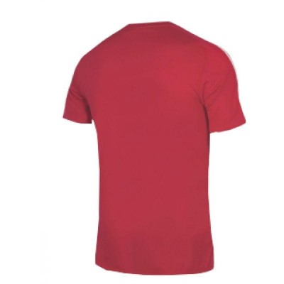The adidas Squadra 21 JSY M GN5722 football shirt