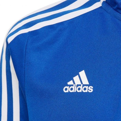Adidas Tiro 21 Training Top Youth Jr GM7322 sweatshirt