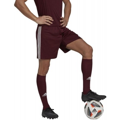 Adidas Squadra 21 Short M GN8083