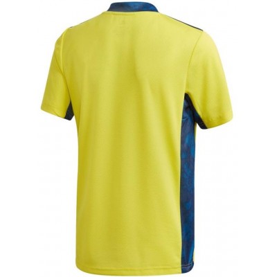 Adidas Juventus Turin Jr. FS8389 goalkeeper jersey