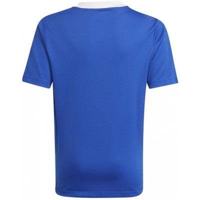 T-shirt adidas Tiro 21 Tr Jsy Y Jr GM7577