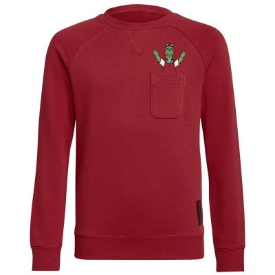 Adidas Arsenal FC Crew Sweat Jr GR4218 sweatshirt