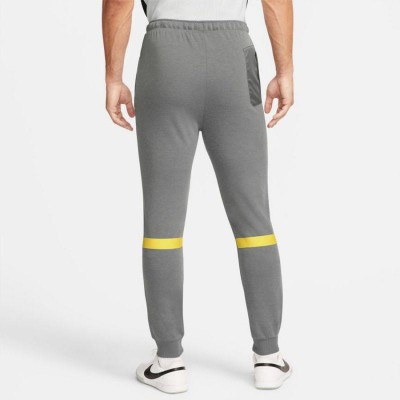 Nike Liverpool FC M DB7876 088 pants