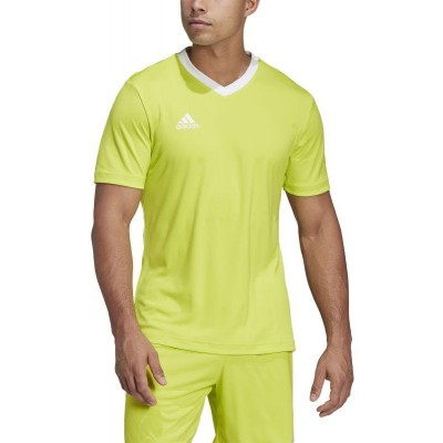 Tee adidas Entrada 22 M HC5077