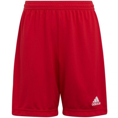 Adidas Entrada 22 Jr H57501 shorts