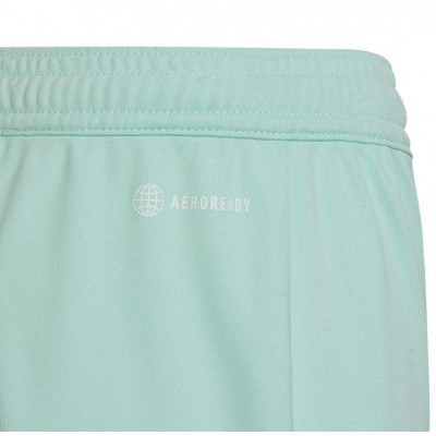 Adidas Entrada 22 Jr HC5058 shorts
