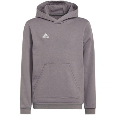 Sweatshirt adidas Entrada 22 Hoody Jr H57515