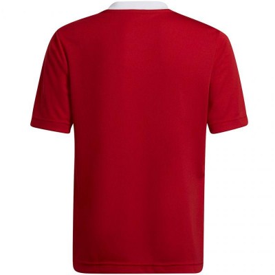 T-shirt adidas Entrada 22 Jsy Jr H57496