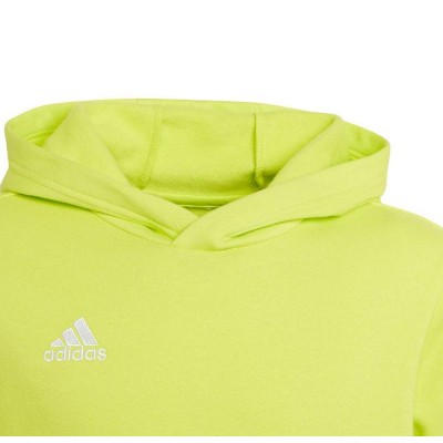 Sweatshirt adidas Entrada 22 Hoody Jr HC5069