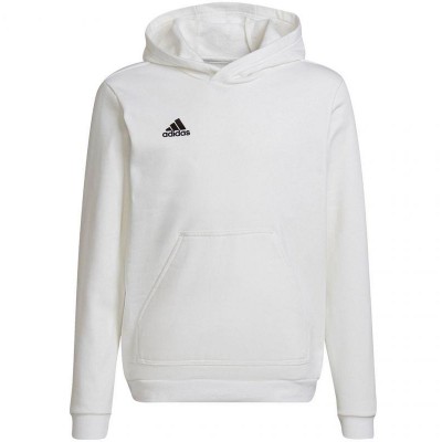 Sweatshirt adidas Entrada 22 Hoody Jr HG6303