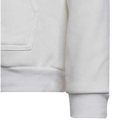 Sweatshirt adidas Entrada 22 Hoody Jr HG6303
