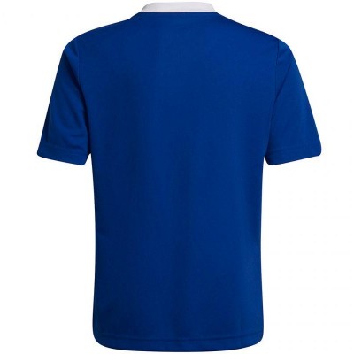 T-shirt adidas Entrada 22 Jsy Jr HG3948