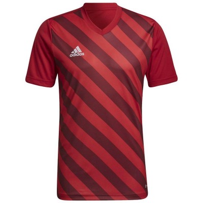Adidas Entrada 22 Graphic Jersey M HB0572