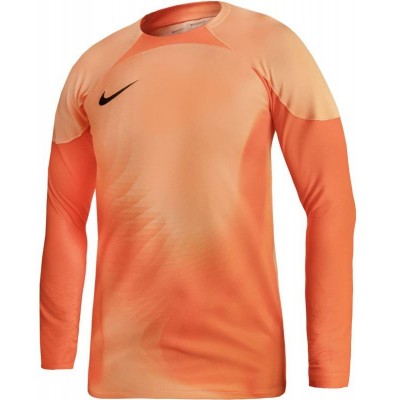 Nike Gardien IV Goalkeeper JSY M DH7967 819 goalkeeper jersey