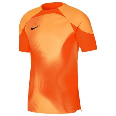 Nike Dri-FIT ADV Gardien 4 M DH7760-819 goalkeeper jersey