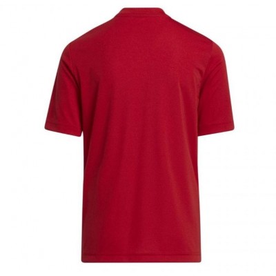 Adidas Entrada 22 Graphic Jersey Jr.H58983