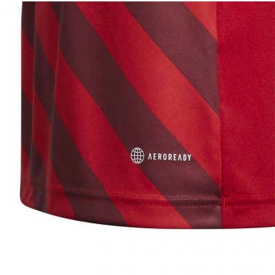 Adidas Entrada 22 Graphic Jersey Jr.H58983