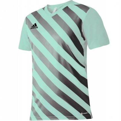 T-shirt adidas Entrada 22 Graphic Jersey Jr HF0127