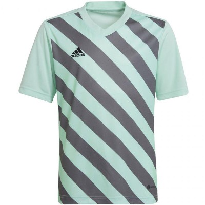 T-shirt adidas Entrada 22 Graphic Jersey Jr HF0127