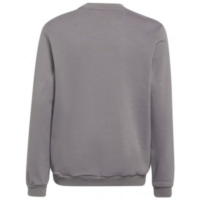 Adidas Entrada 22 Sweat Top Jr H57477 sweatshirt