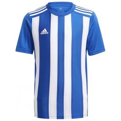 Tee adidas Striped 21 Jr GH7323