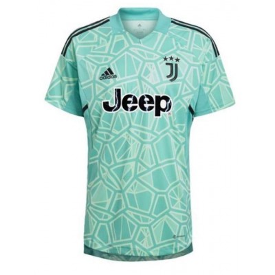 Adidas Juventus Turin Jr goalkeeper shirt HB0431