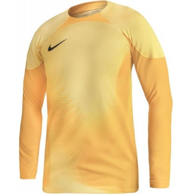 Nike Gardien IV Goalkeeper JSY M DH7967 719 goalkeeper shirt