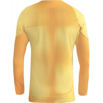 Nike Gardien IV Goalkeeper JSY M DH7967 719 goalkeeper shirt