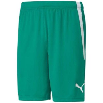 Puma teamLiga M 704924 05 shorts