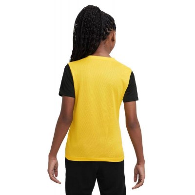 Nike Dri-Fit Tiempo Premier 2 Jr T-shirt DH8389-719