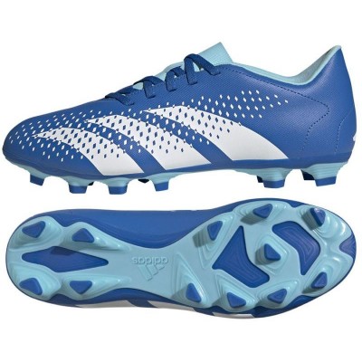 Adidas Predator Accuracy.4 FxG M GZ0010 football shoes